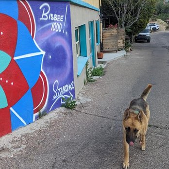 Bisbee 1000 - My dog and I walking the course in April - Festivals Near Me - Bisbee, Arizona