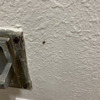 Americas Best Value Inn Pottstown - Yup that's a roach! - Hotels Near Me - Pottstown, Pennsylvania Americas Best Value Inn Pottstown - Yup that's a roach! - Hotels Near Me - Pottstown, Pennsylvania