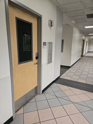 California State University, Northridge by null