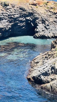 La Bufadora by null