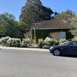 Jane’s Landscaping - Lawn maintenance