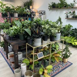 Southern Botanica - Plants and pots!