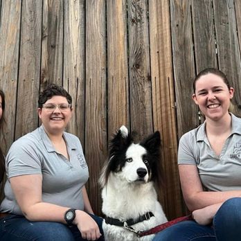 Daack Pack Dog Training - Daack Pack Team - Pet Training Near Me - Sacramento, California Daack Pack Dog Training - Daack Pack Team - Pet Training Near Me - Sacramento, California