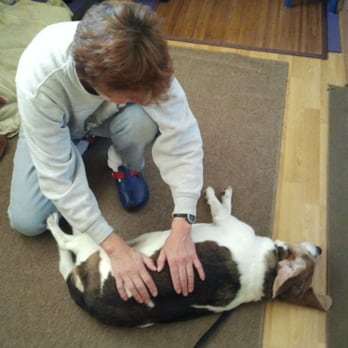 Easingpaw Animal Wellness - Holistic Animal Care Near Me - Monrovia, California Easingpaw Animal Wellness - Holistic Animal Care Near Me - Monrovia, California