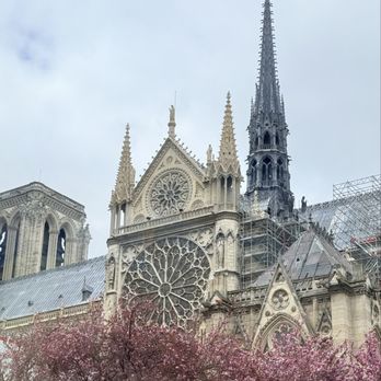 Batobus - Notre-Dame - Transportation Near Me - Paris, 75 Batobus - Notre-Dame - Transportation Near Me - Paris, 75