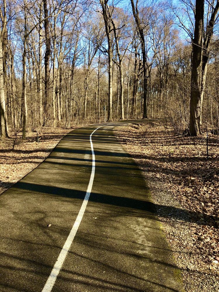 Social spots from Burdette Park