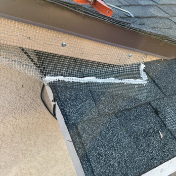 Evans Exterminator - Rodent control !! Call the pros at Evans exterminator - Pest Control Near Me - San Ramon, California Evans Exterminator - Rodent control !! Call the pros at Evans exterminator - Pest Control Near Me - San Ramon, California