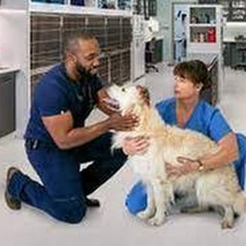 Hillside Animal Hospital - untitled - Veterinarians Near Me - Eckhart Mines, Maryland Hillside Animal Hospital - untitled - Veterinarians Near Me - Eckhart Mines, Maryland