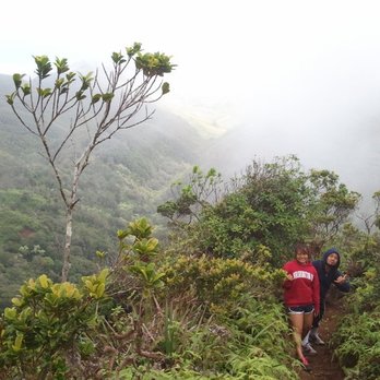 Kuliouou Ridge Trail - Find friends that love to hike :) - Hiking Near Me - Honolulu, Hawaii Kuliouou Ridge Trail - Find friends that love to hike :) - Hiking Near Me - Honolulu, Hawaii