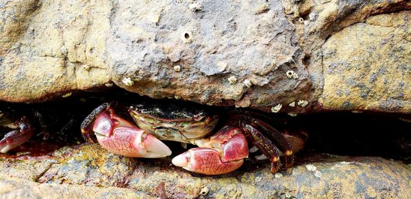 The Tides Inn by null