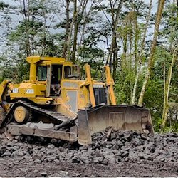 C & U SERVICES - Clearing Job on the 16th Avenue (right on Maku'u drive) in Keaau (Hawaiian Paradise Park)