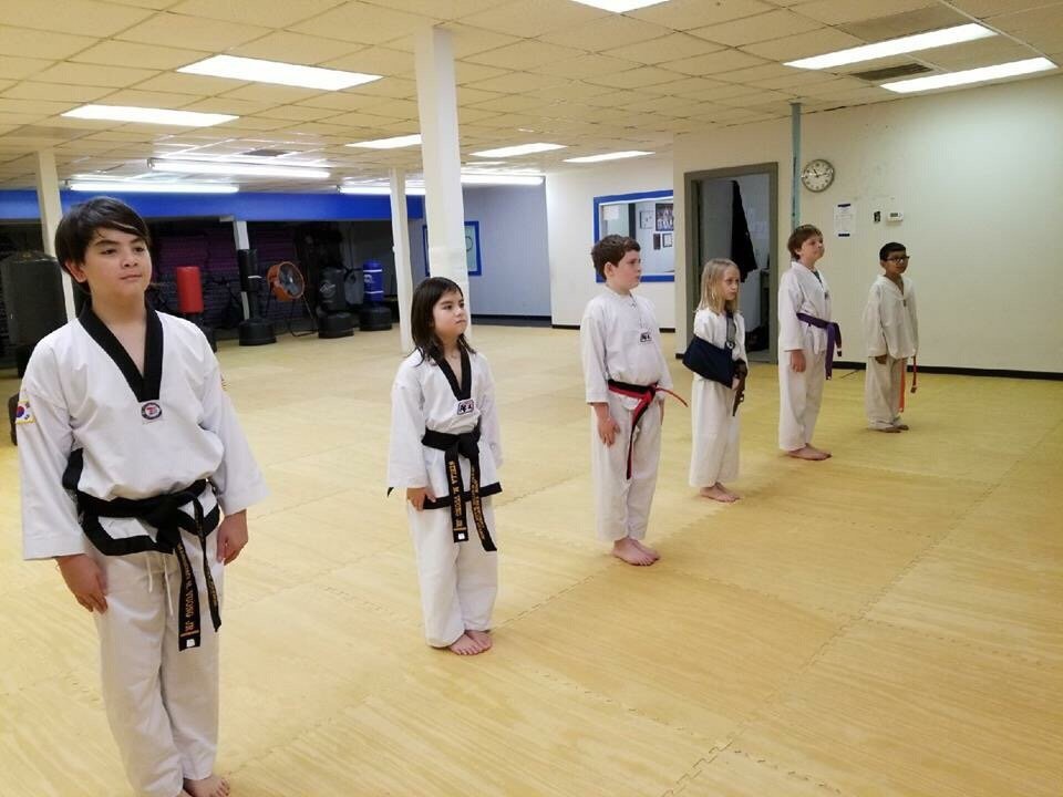 Apex Tae Kwon Do Logo