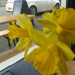 The Cow&Co Cafe - Daffs (2016)