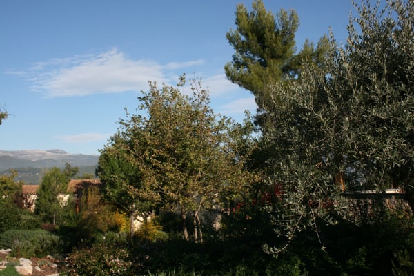 Terre Blanche by null