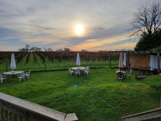 Va La Vineyards by null