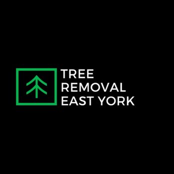 Tree Removal East York - Tree Services Near Me - Toronto, Ontario Tree Removal East York - Tree Services Near Me - Toronto, Ontario