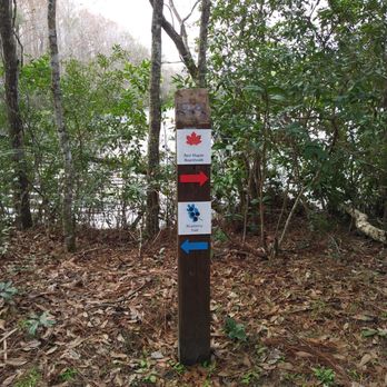 UNF Wildlife Sanctuary - Recreation Centers Near Me - Jacksonville, Florida UNF Wildlife Sanctuary - Recreation Centers Near Me - Jacksonville, Florida