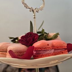 AnnTremet Cake