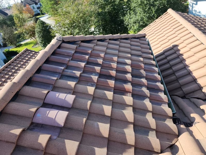 Slide of Lost In Texas Roofing