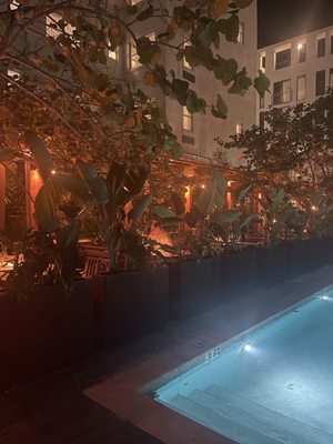 Paya Miami by null