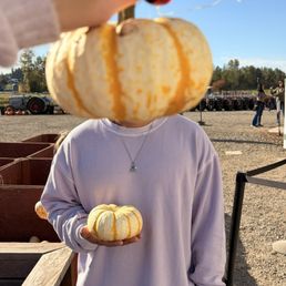Pumpkin photo! Pumpkin photo!