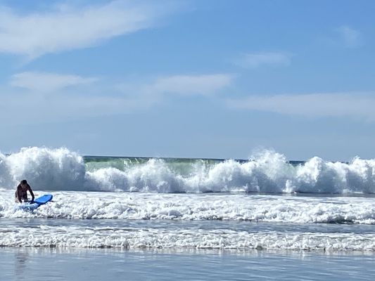 Mission Beach Park by null