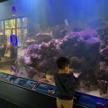 CUPERTINO LIBRARY - Updated December 2024 - 160 Photos & 219 Reviews ...