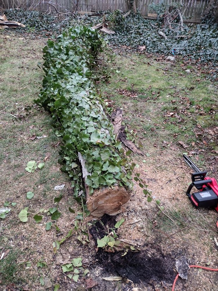 Slide of Productive services