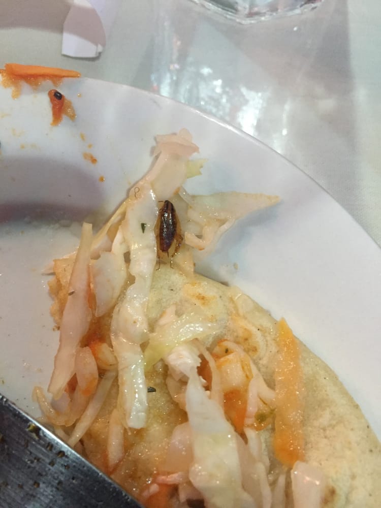 MI MARIACHI CLOSED Updated August 2024 13 Photos & 22 Reviews