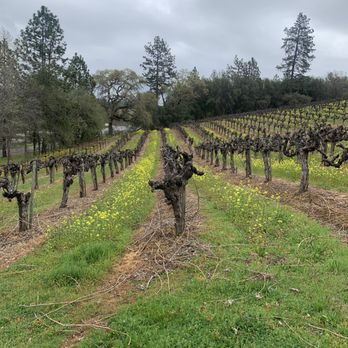Iron Hub Winery - Wineries Near Me - Plymouth, California Iron Hub Winery - Wineries Near Me - Plymouth, California