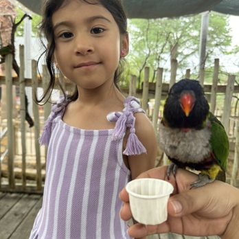 San Antonio Zoo - Zoos Near Me - San Antonio, Texas