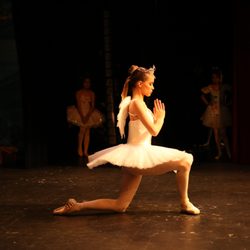 Ave Maria Academy of Ballet