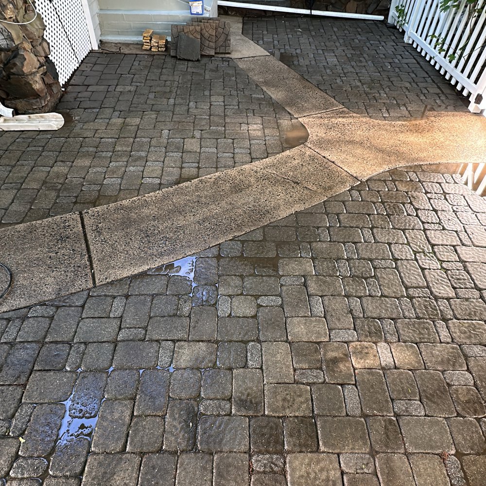 TOP 10 BEST Pool Service near Ditmas Park, Brooklyn, NY - Updated 2026 -  Yelp