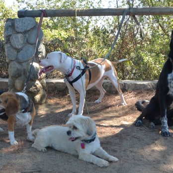 K9 Trooperz - Pet Training Near Me - Los Angeles, California K9 Trooperz - Pet Training Near Me - Los Angeles, California