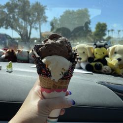 Baskin-Robbins