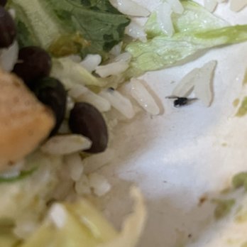 Rubio's Coastal Grill - Bug - Mexican Near Me - Temecula, California