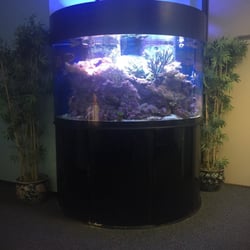 Mark S White, DO - Great relaxing fish tank to watch and listen to the sound of moving water