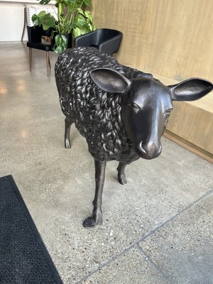 BlackSheep Pizza & Cocktails by null
