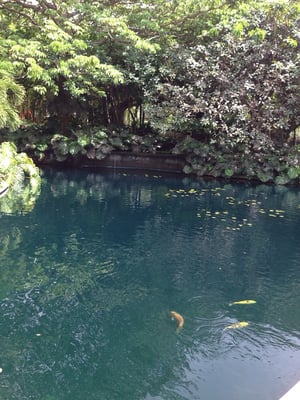 Museo de Arte de Puerto Rico by null