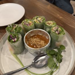 Fresh Spring Rolls