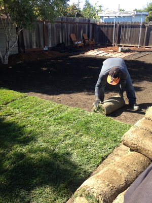 Artificial Sod Installation - Lawn care you can trust. Call us for a quote today!