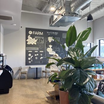 White Rhino Coffee - White Rhino Oak Cliff - Coffee & Tea Near Me - Dallas, Texas