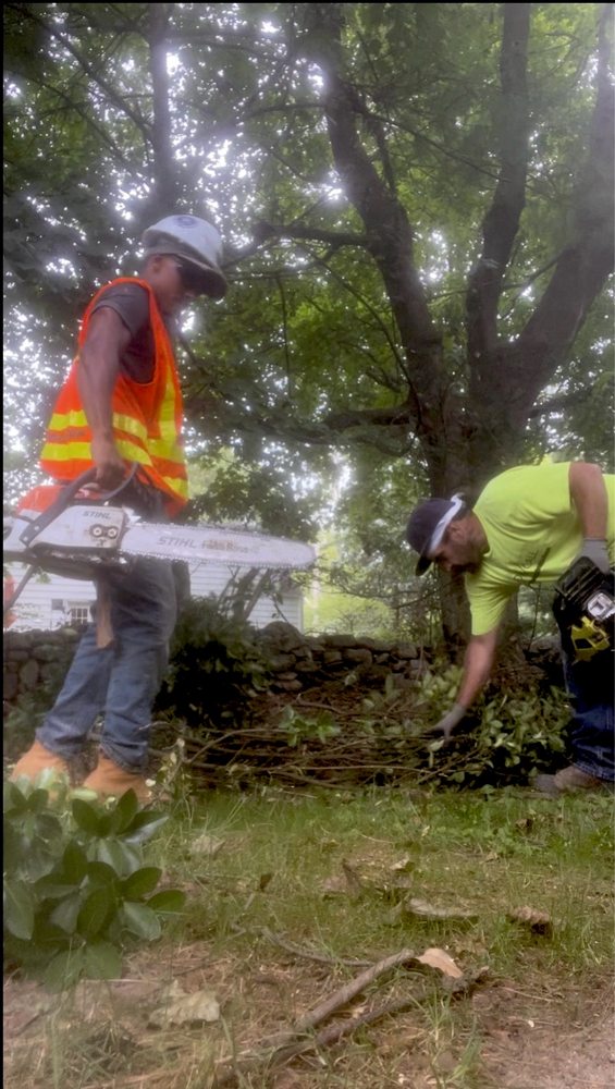 Slide of South Hill Group