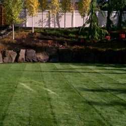 Green Grass
