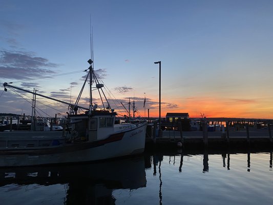 Westport Sea Farms by null