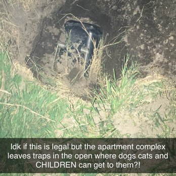 The Diplomat Apartment Homes - Traps that are left open and could easily be stepped on in the dark. - Apartments Near Me - Lompoc, California