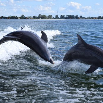 Sanibel Thriller - Boating Near Me - Sanibel, Florida Sanibel Thriller - Boating Near Me - Sanibel, Florida
