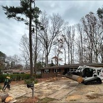Kenny's Tree Removal - Removing a few large pine trees near power lines.  No access with our crane. - Tree Services Near Me - Lillington, North Carolina