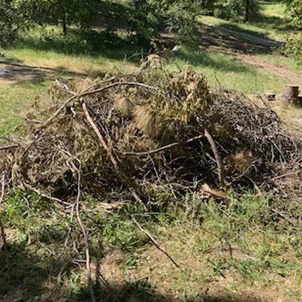 Organik Junk Removal - Branch pile! - Demolition Services Near Me Organik Junk Removal - Branch pile! - Demolition Services Near Me