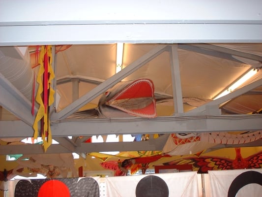World Kite Museum & Hall-Fame by null